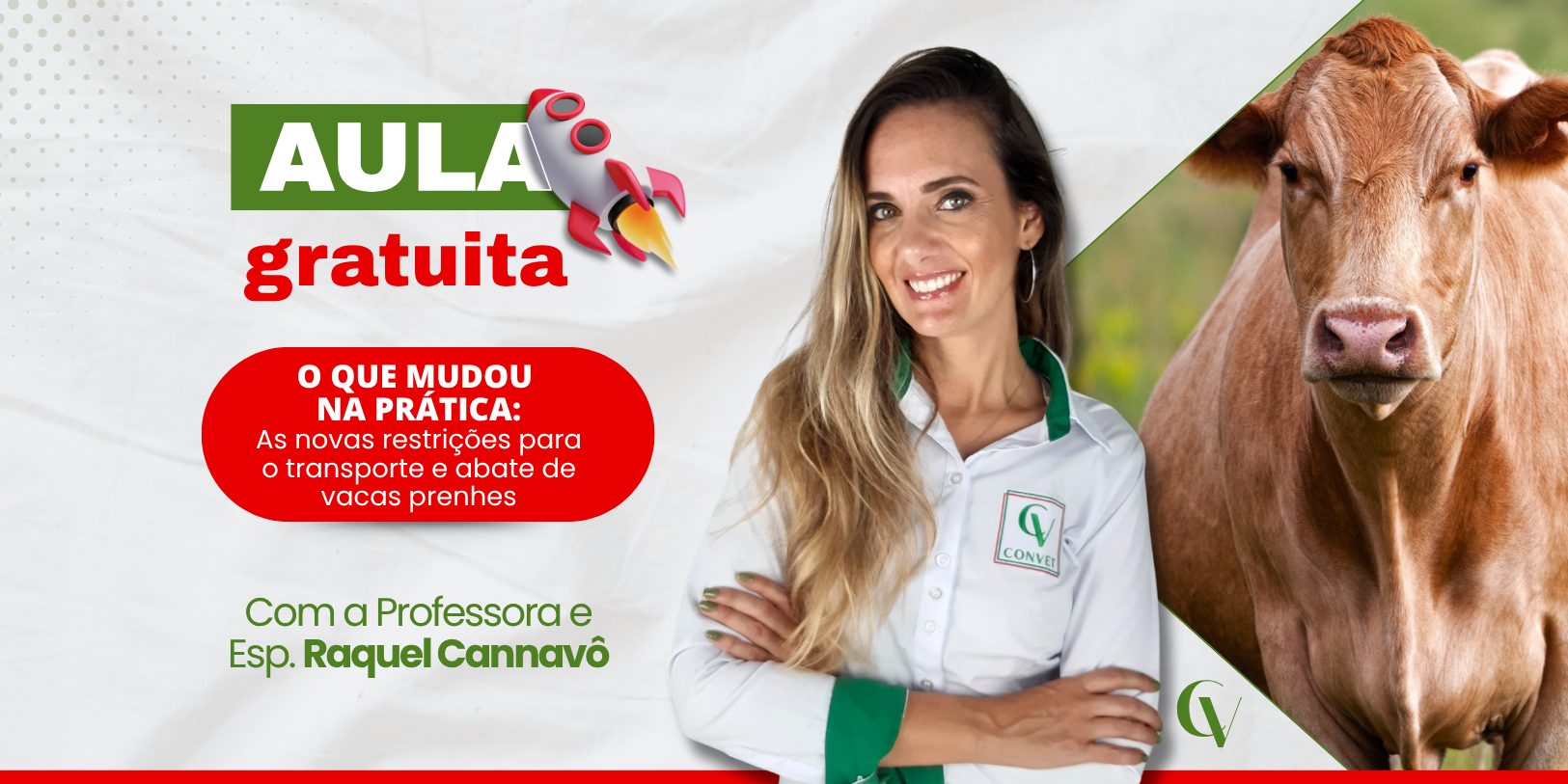 Banner de aula gratuita sobre novas restrições no transporte e abate de vacas prenhes, com destaque para texto em verde e vermelho. À direita, professora sorridente de uniforme da Convet com braços cruzados; ao lado, imagem de uma vaca. Texto inclui “Com a Professora Esp. Raquel Cannavô”.