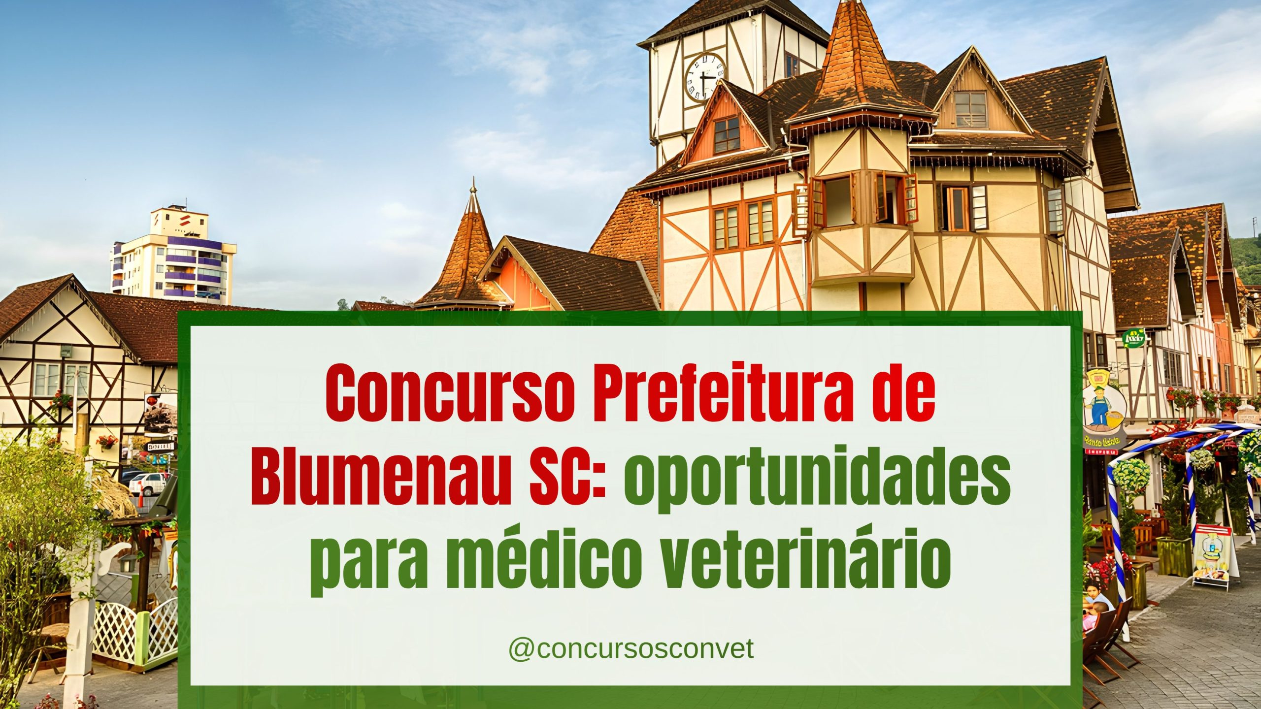 Concurso Prefeitura de Blumenau SC: oportunidades para médico veterinário