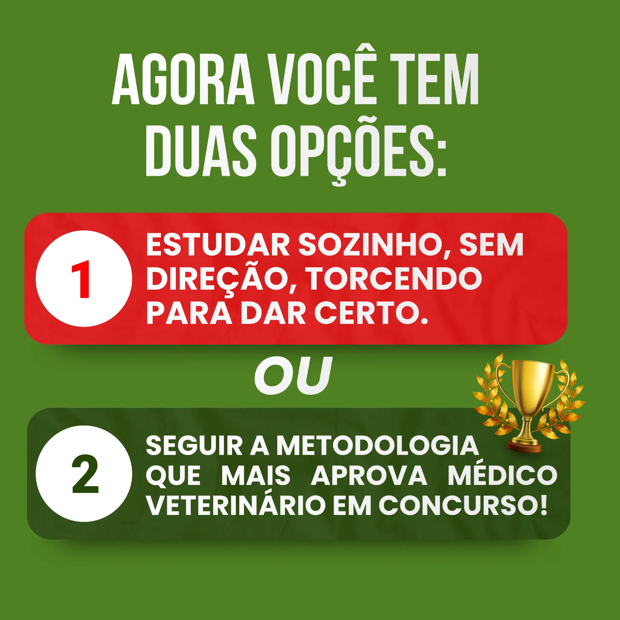 Matricule-se no CONVET - O preparatório que mais aprova médico veterinário em concursos públicos